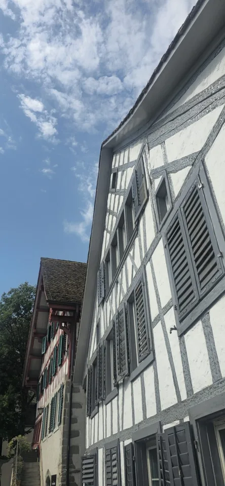 Lovingly renovated and modernized residential units with a lot of charm (1.5-3.5 room apartments)