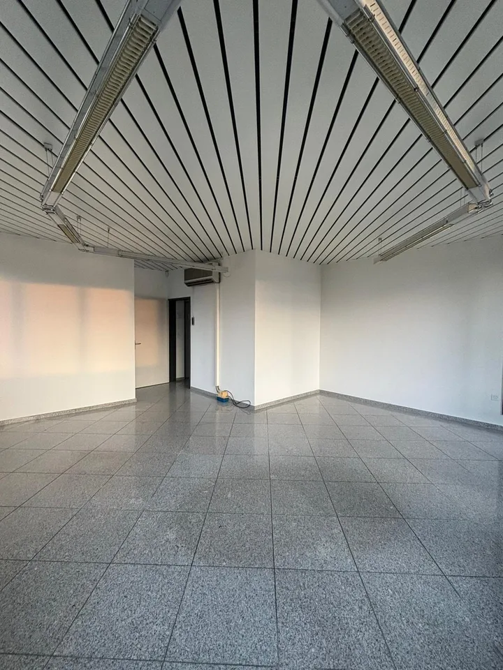 Space for Your Ideas - Versatile Commercial Space with Terrace in Schenkon