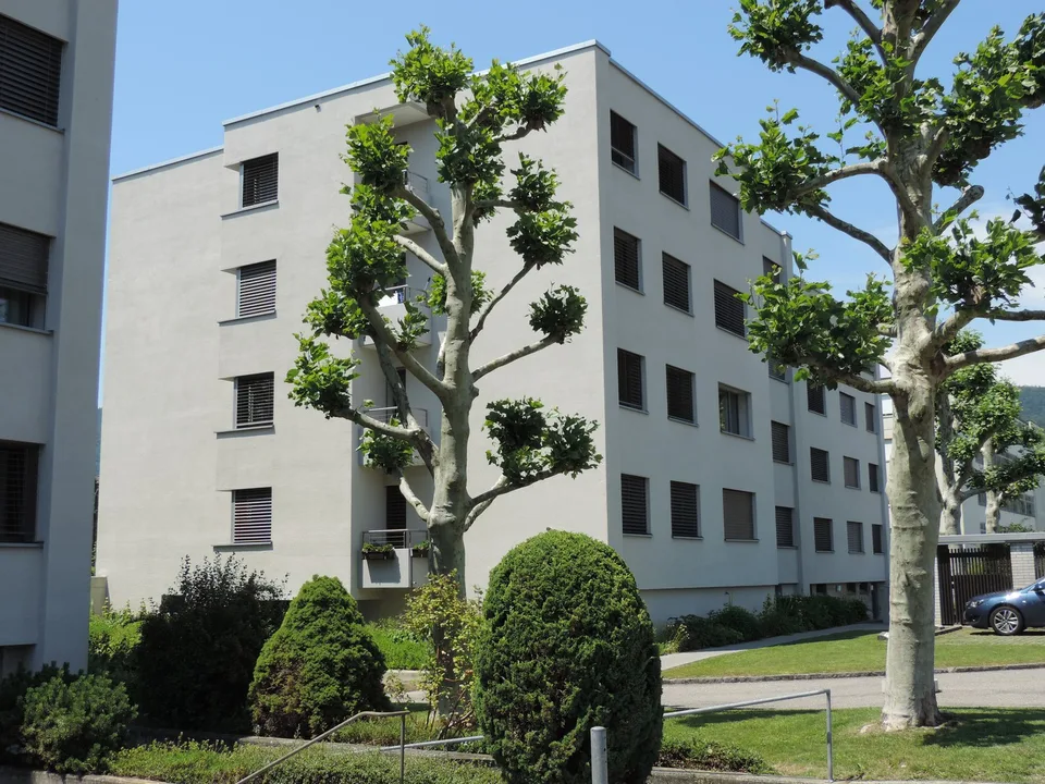 Charmante 3.5-Zimmerwohnung in Hägendorf