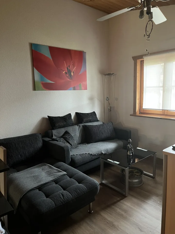 Inkl. Nebenkosten & Netflix: 2 grosse, top-möblierte Zimmer in Othmarsingen bei Lenzburg