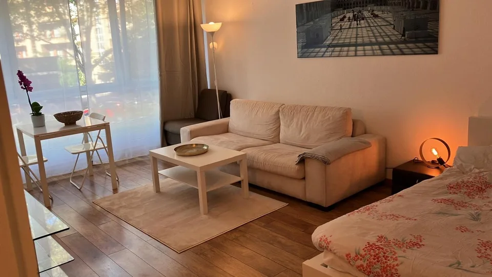 Geneva - Fully furnished cosy large Studio near UN / ILO / WHO