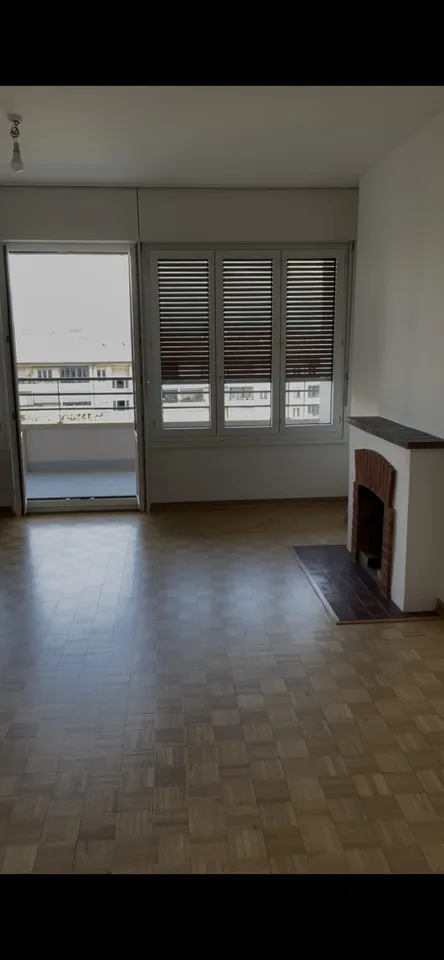 Appartement vue Mont Blanc proche au Cornavin et Nations