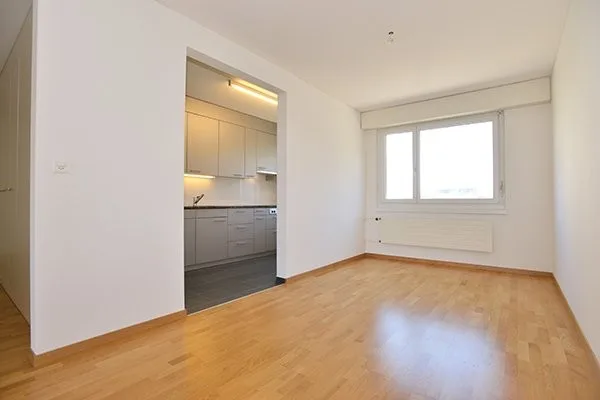 Grosszügige Wohnung mit Gartensitzplatz