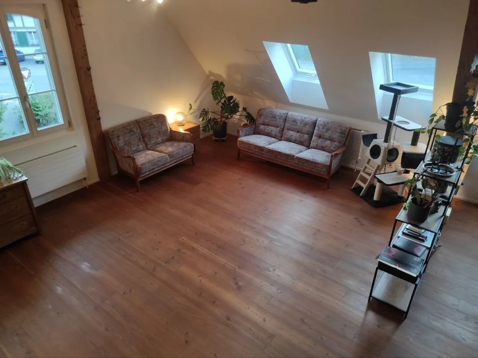 Zimmer in frisch renovierter 4er-WG