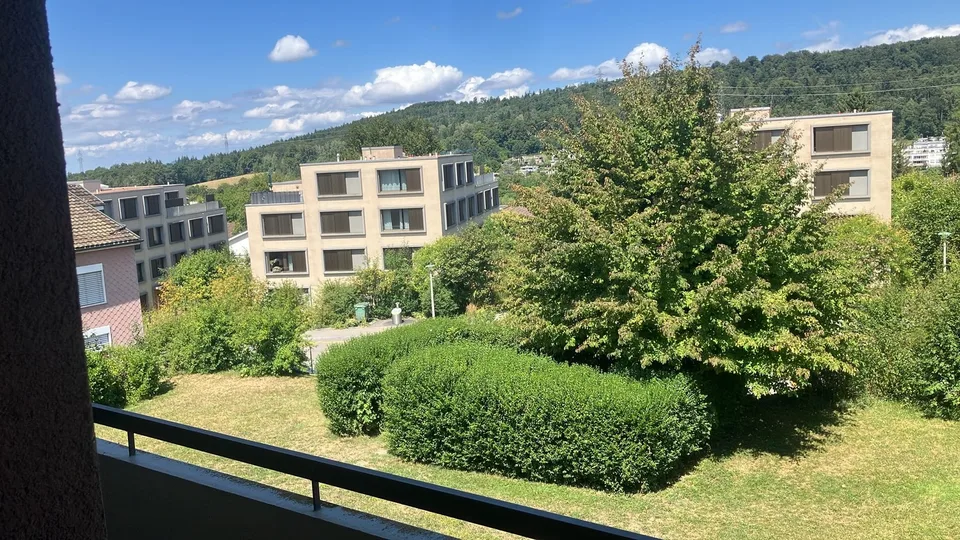 Für Super1-Zimmer-Loft-Wohnung in Zürich-Witikon –