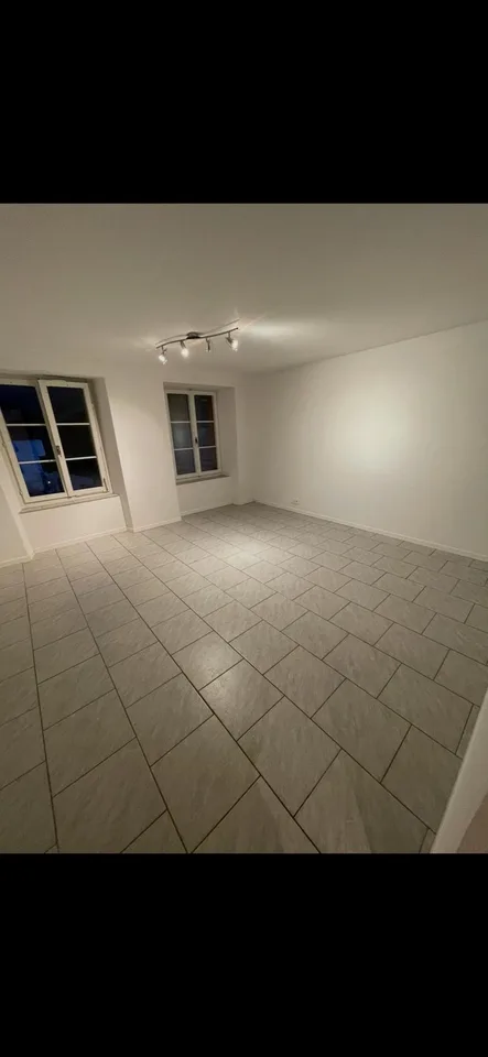 Appartement duplex/maisonette à Brienz BE