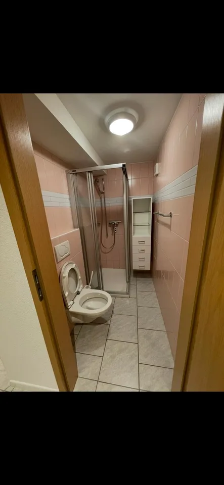 Appartement duplex/maisonette à Brienz BE