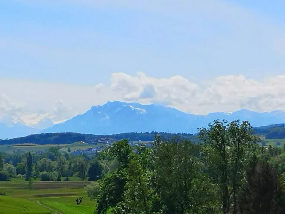 3,5 Zimmer Wohnung mit Garten