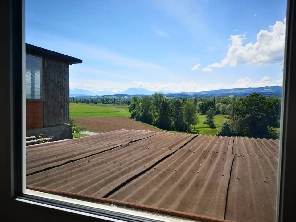 3,5 Zimmer Wohnung mit Garten