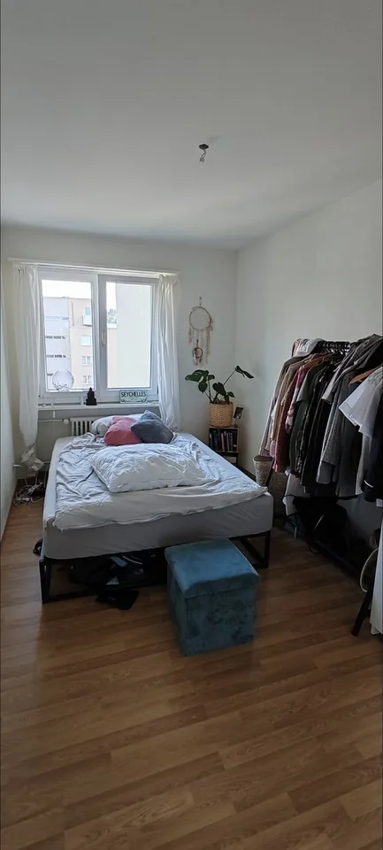 Gesellige Sports-Maus gesucht in 3,5 Zimmer Wohnung☀️ 🏡