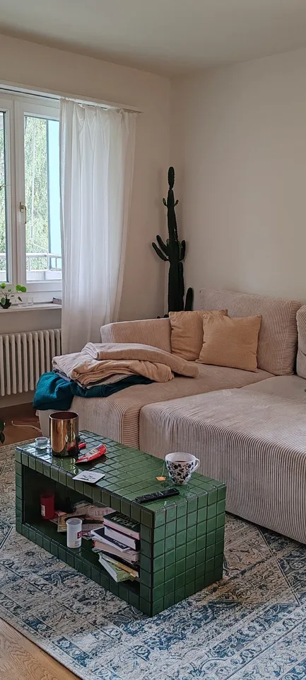 Gesellige Sports-Maus gesucht in 3,5 Zimmer Wohnung☀️ 🏡