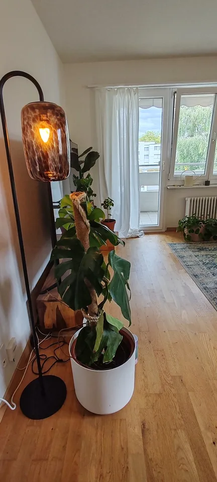 Gesellige Sports-Maus gesucht in 3,5 Zimmer Wohnung☀️ 🏡