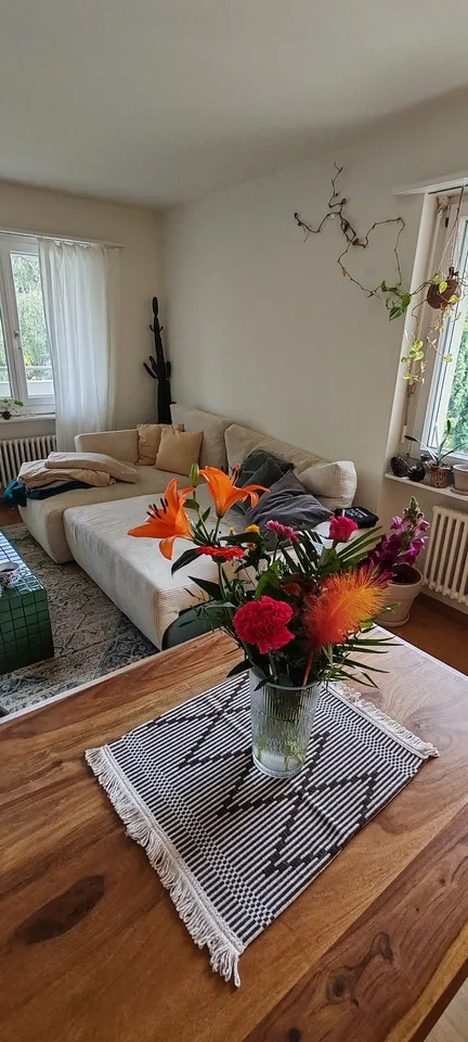 Gesellige Sports-Maus gesucht in 3,5 Zimmer Wohnung☀️ 🏡