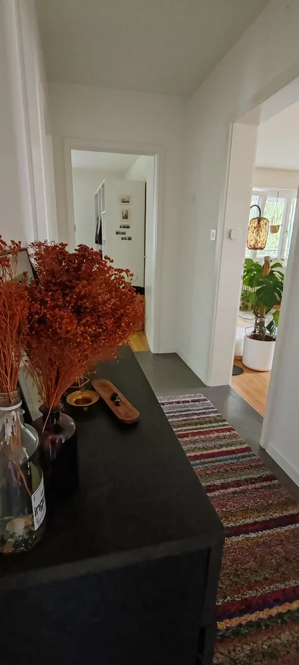 Gesellige Sports-Maus gesucht in 3,5 Zimmer Wohnung☀️ 🏡