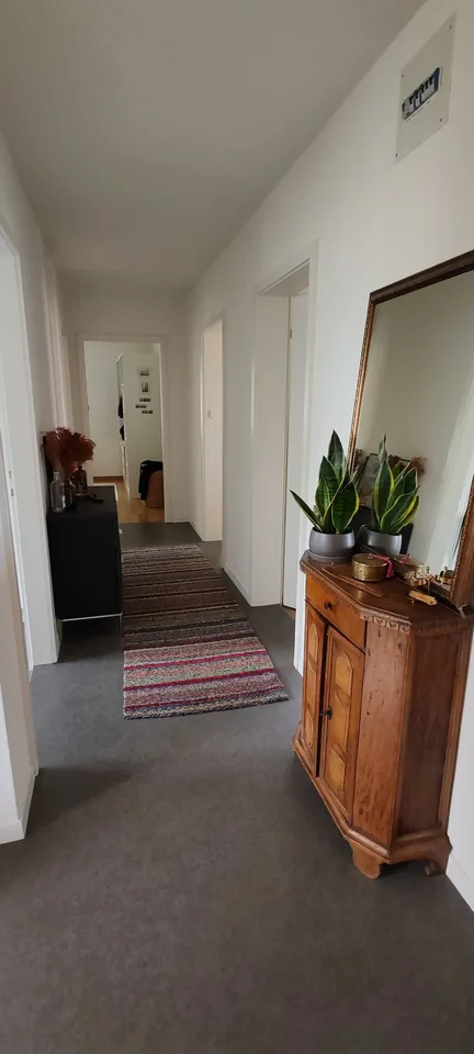 Gesellige Sports-Maus gesucht in 3,5 Zimmer Wohnung☀️ 🏡