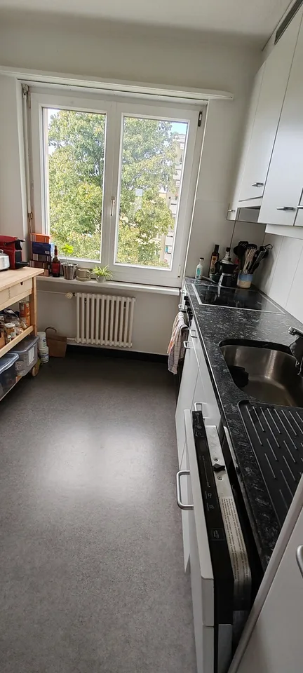 Gesellige Sports-Maus gesucht in 3,5 Zimmer Wohnung☀️ 🏡