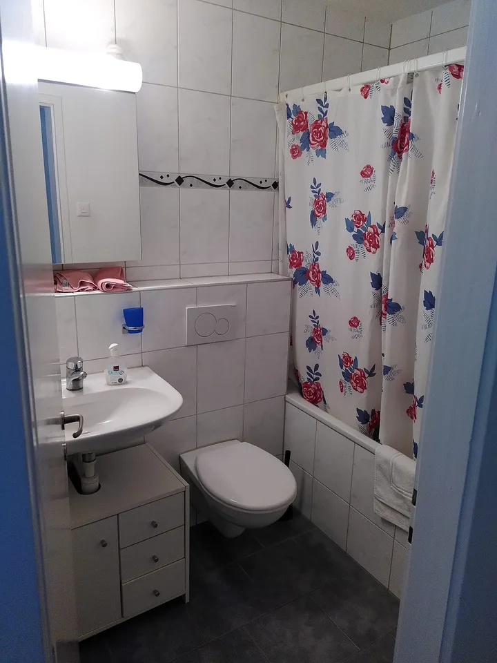 Freies WG Zimmer in Dübendorf