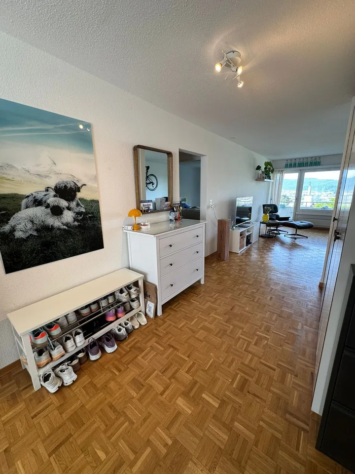 3.5-Zimmerwohnung an ruhiger Lage in Höngg befristet bis Ende März 2028