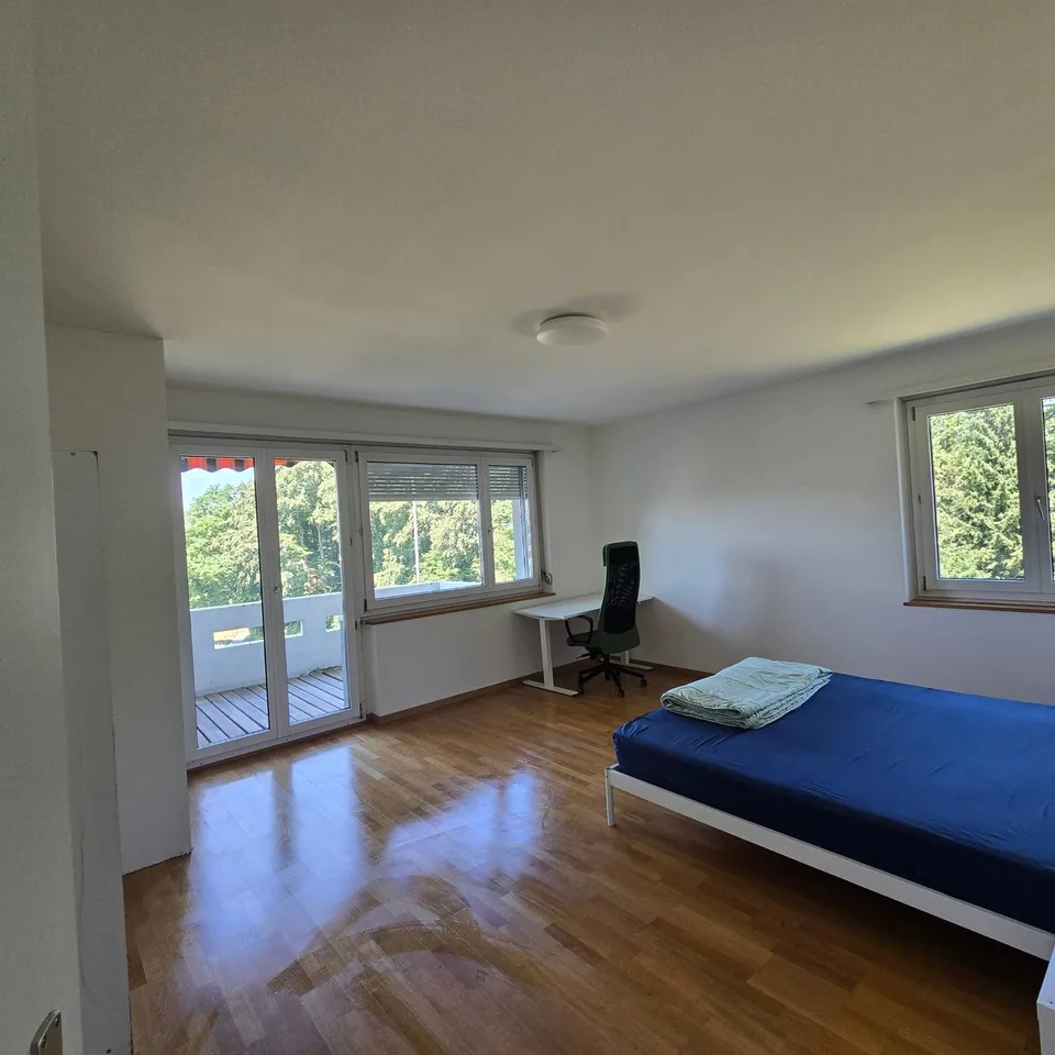 Cozy rooms in Zurich City