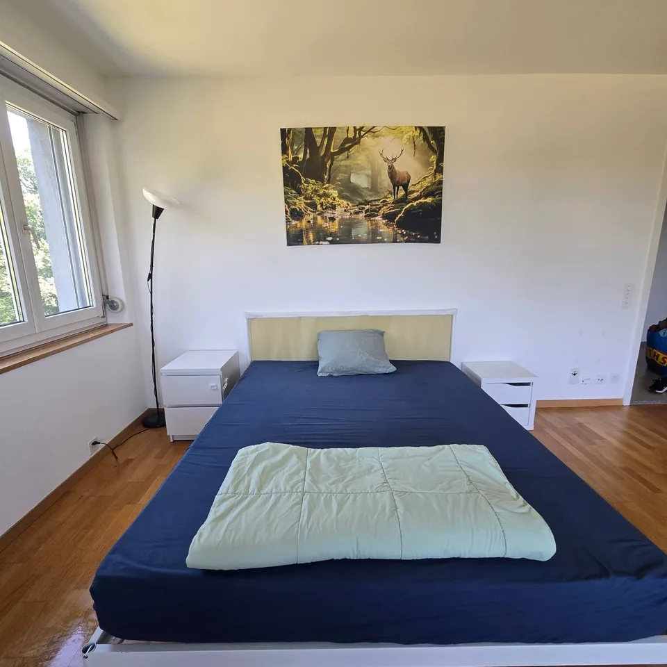 Cozy rooms in Zurich City