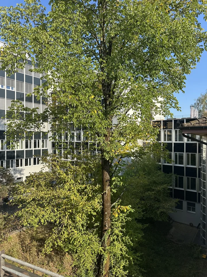 Bright Apartment near the Limmat (Kreis 6)