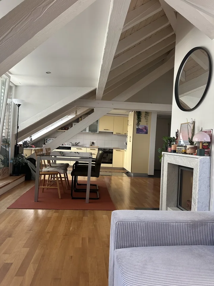 Bright Apartment near the Limmat (Kreis 6)