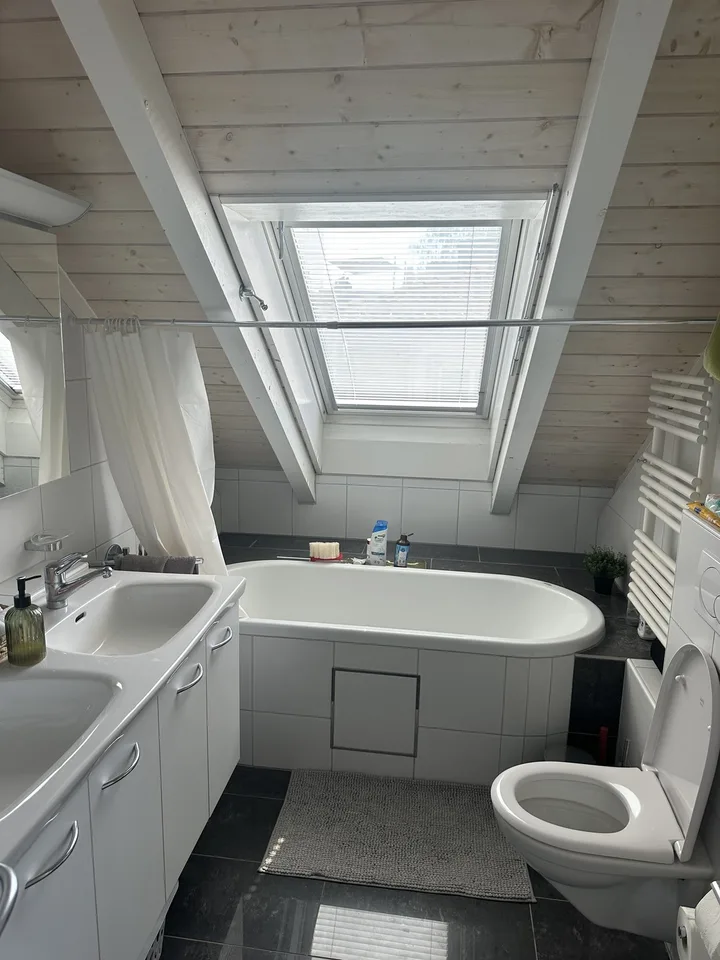 Bright Apartment near the Limmat (Kreis 6)