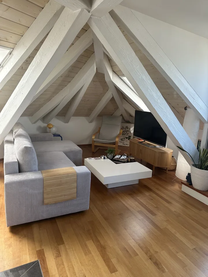 Bright Apartment near the Limmat (Kreis 6)