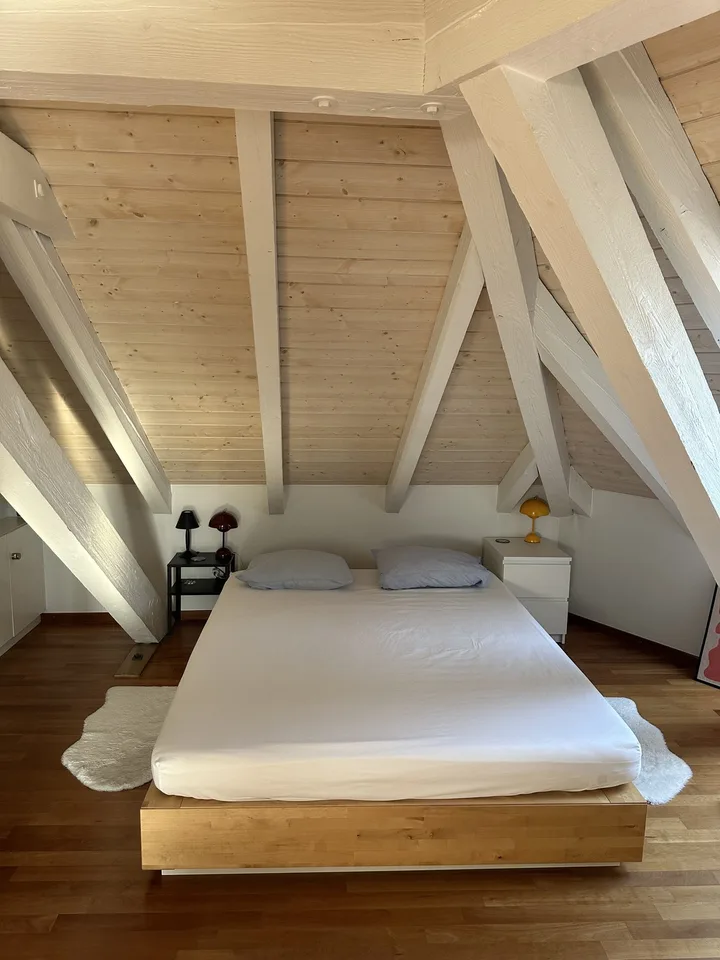 Bright Apartment near the Limmat (Kreis 6)