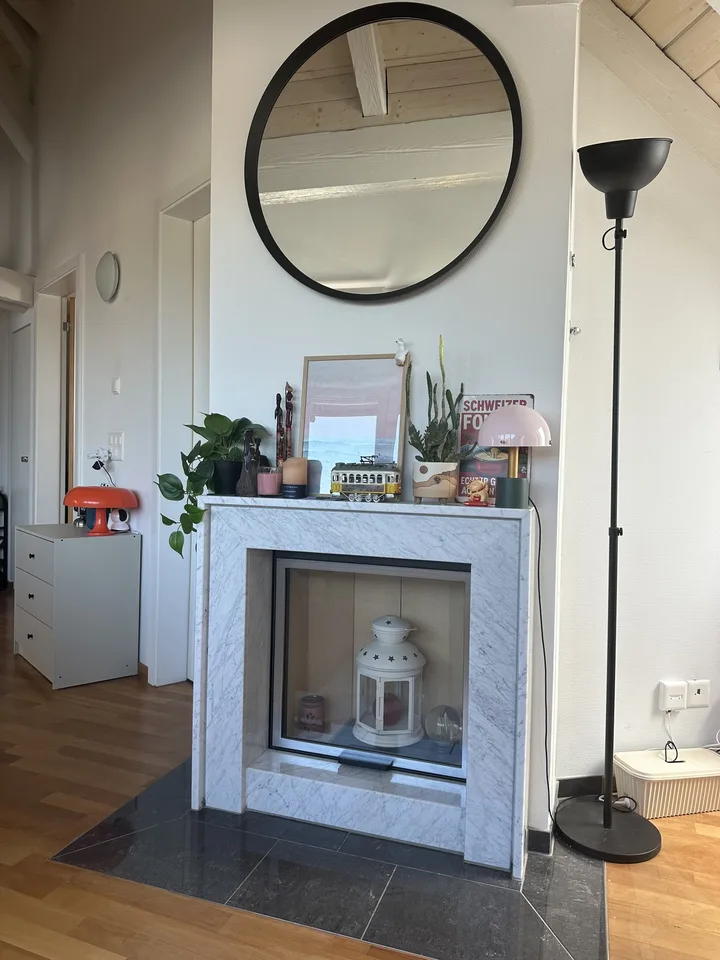 Bright Apartment near the Limmat (Kreis 6)
