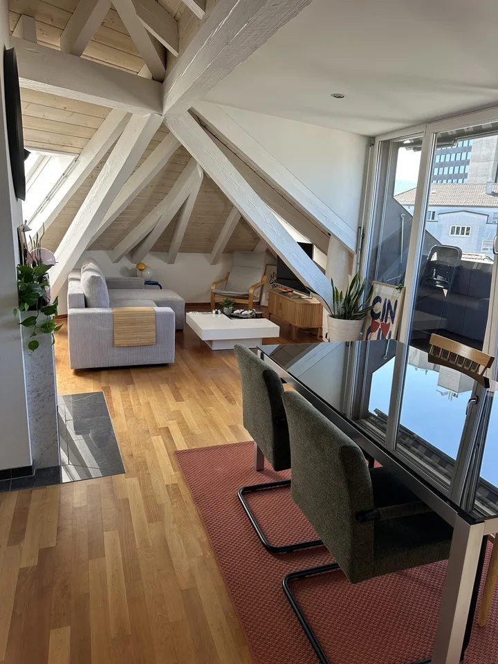 Bright Apartment near the Limmat (Kreis 6)