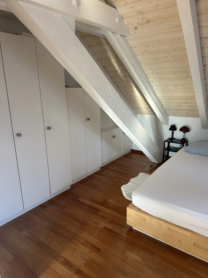 Bright Apartment near the Limmat (Kreis 6)