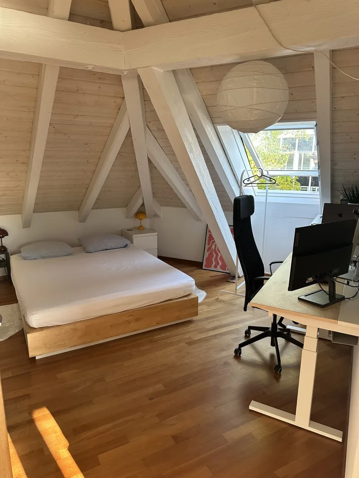 Bright Apartment near the Limmat (Kreis 6)