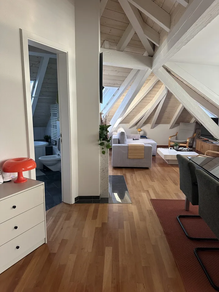 Bright Apartment near the Limmat (Kreis 6)