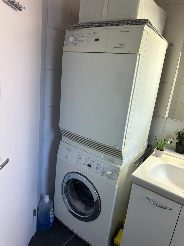 Bright Apartment near the Limmat (Kreis 6)