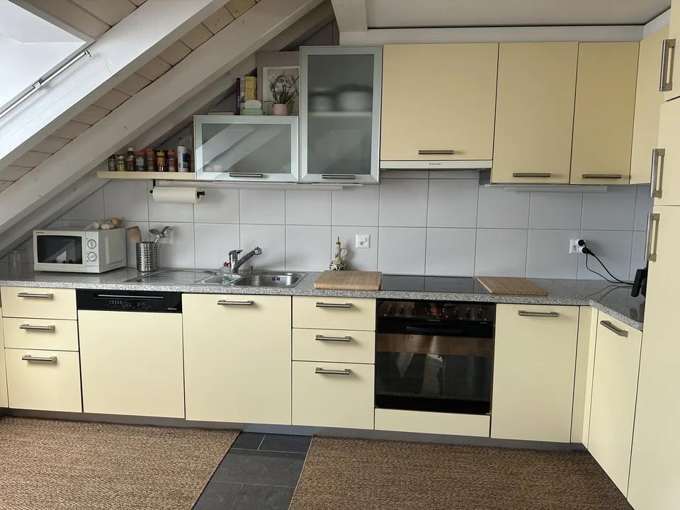 Bright Apartment near the Limmat (Kreis 6)