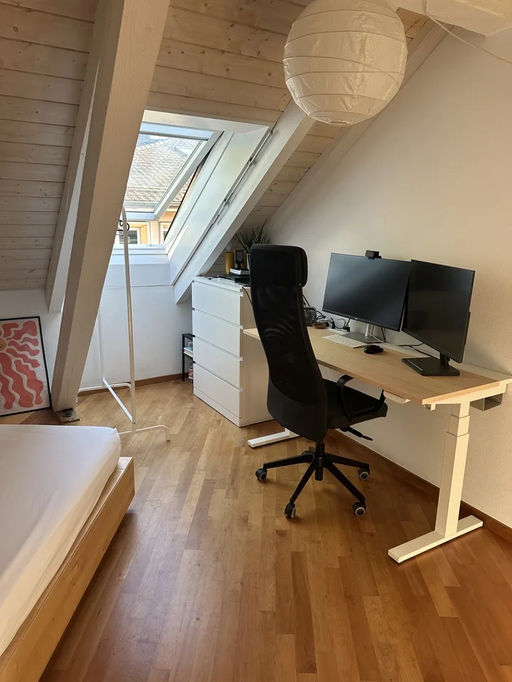 Bright Apartment near the Limmat (Kreis 6)