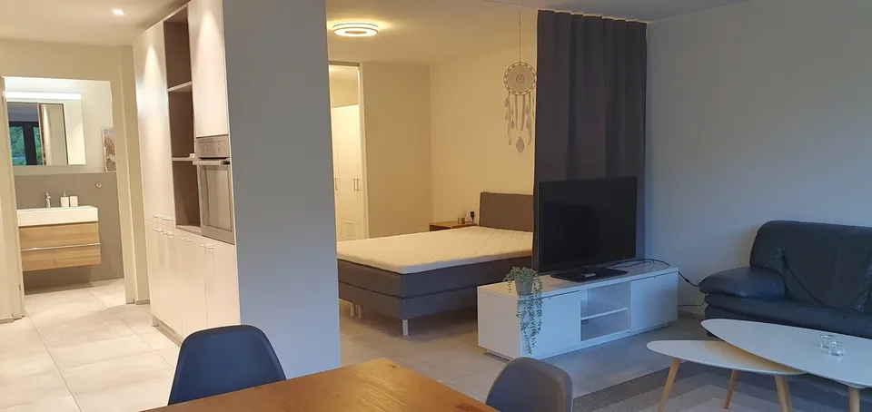 Modernes Studio in Ennetbaden, möbliert oder teilmöbliert zu mieten