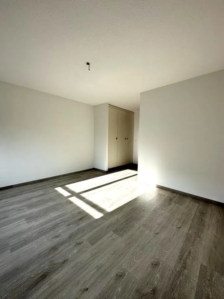 sanierte Wohnung im Herzen von Wallisellen