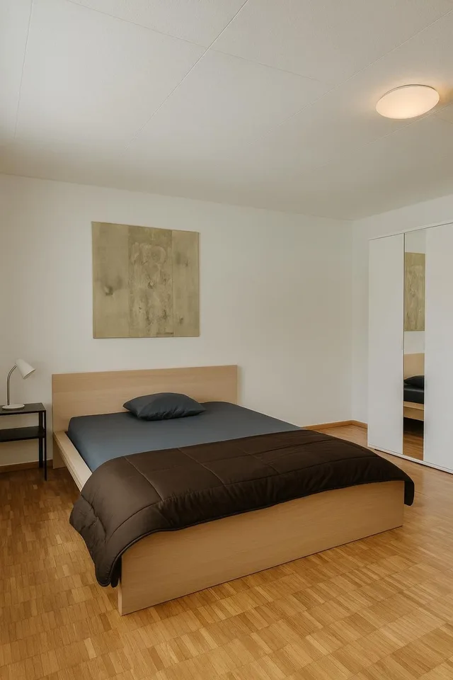 Cozy room in Zurich City