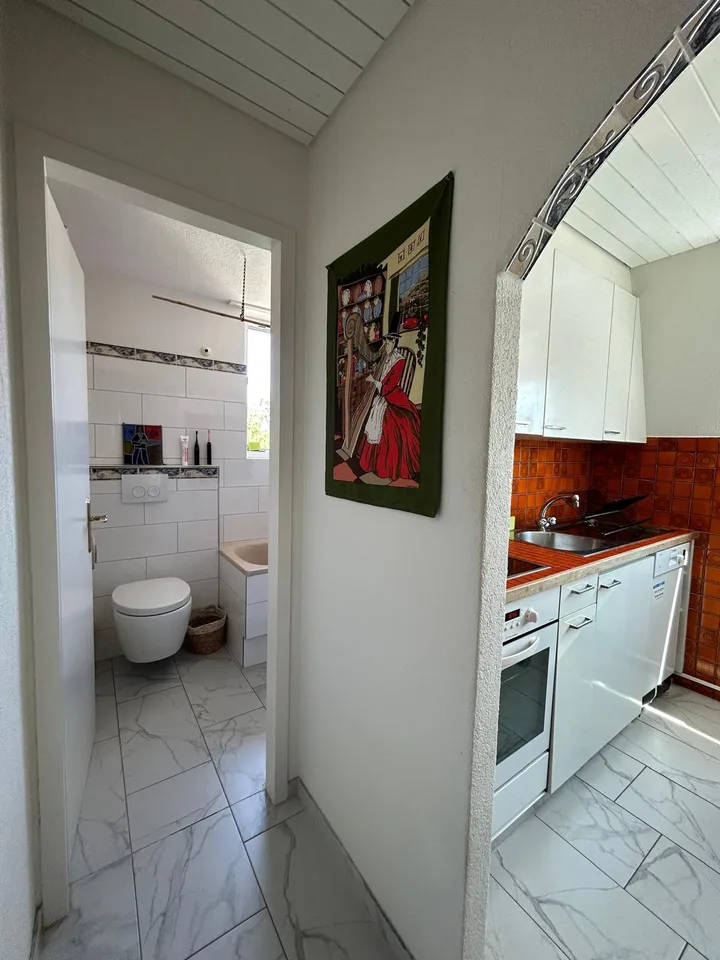 Spacious 2.5-Room Apartment in Wallisellen with Mountain Views
