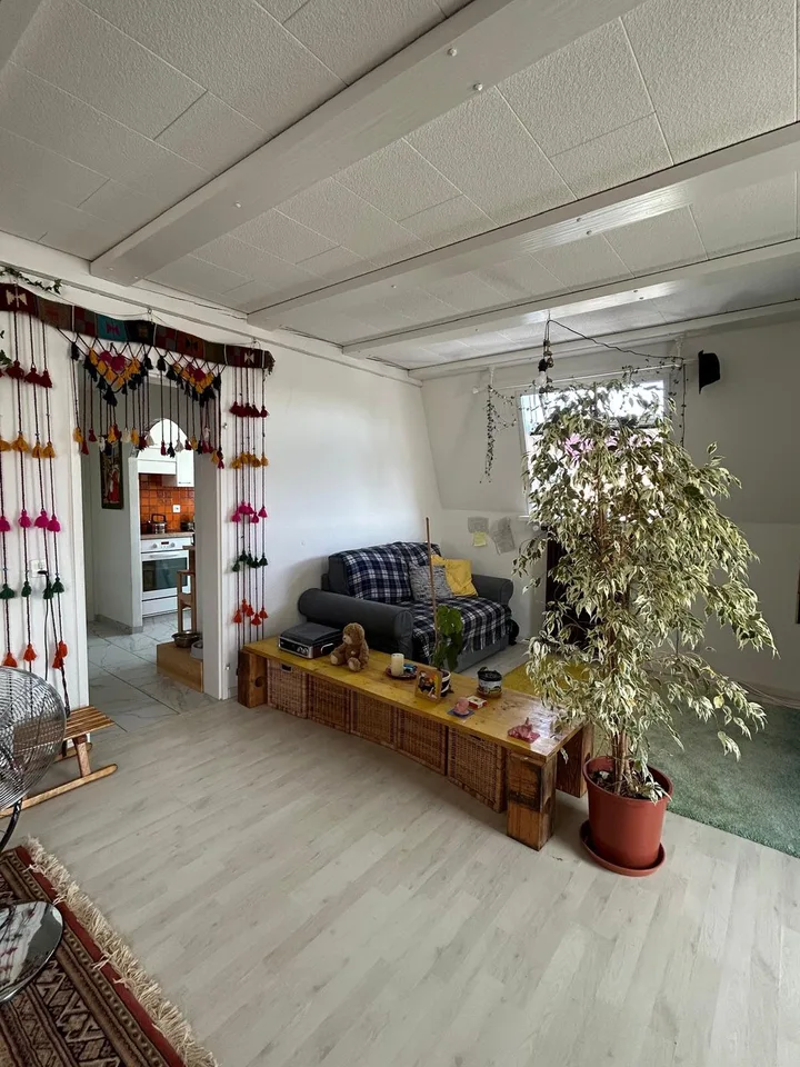 Spacious 2.5-Room Apartment in Wallisellen with Mountain Views