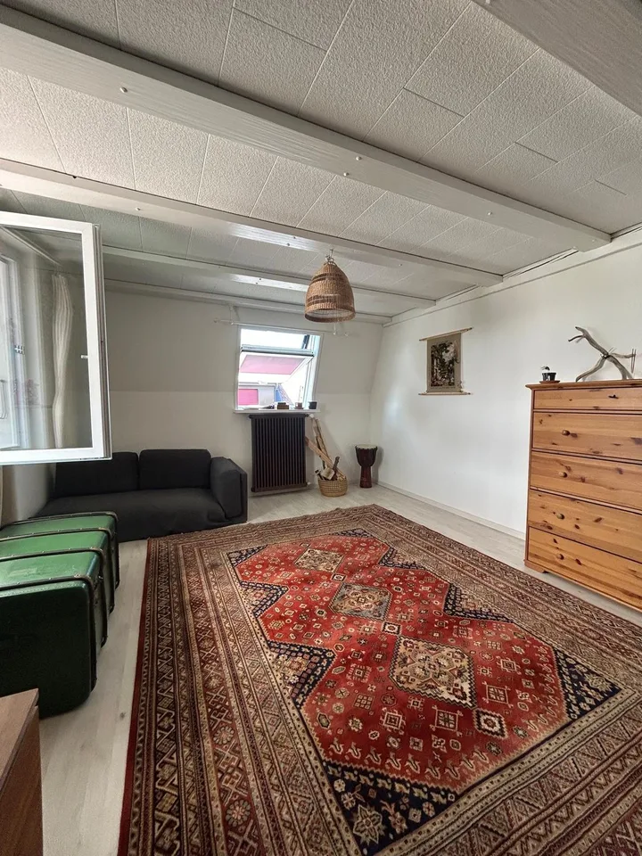 Spacious 2.5-Room Apartment in Wallisellen with Mountain Views
