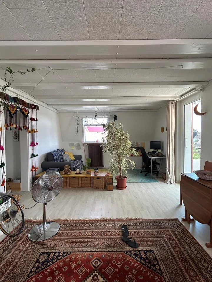 Spacious 2.5-Room Apartment in Wallisellen with Mountain Views