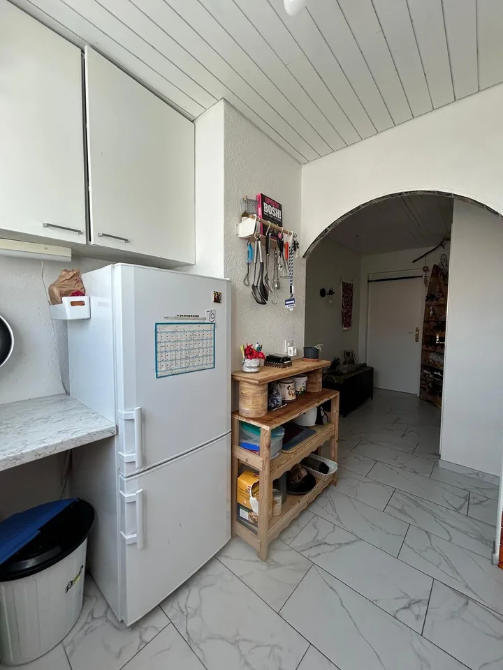 Spacious 2.5-Room Apartment in Wallisellen with Mountain Views