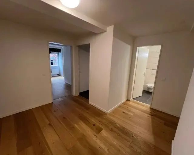 Wunderschöne Wohnung im Niederdorf ab September zu vermieten