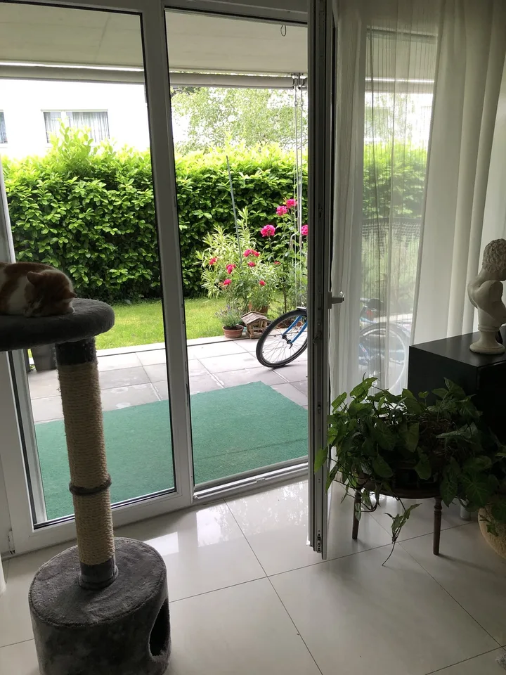 Beautiful garden room for animal lovers!