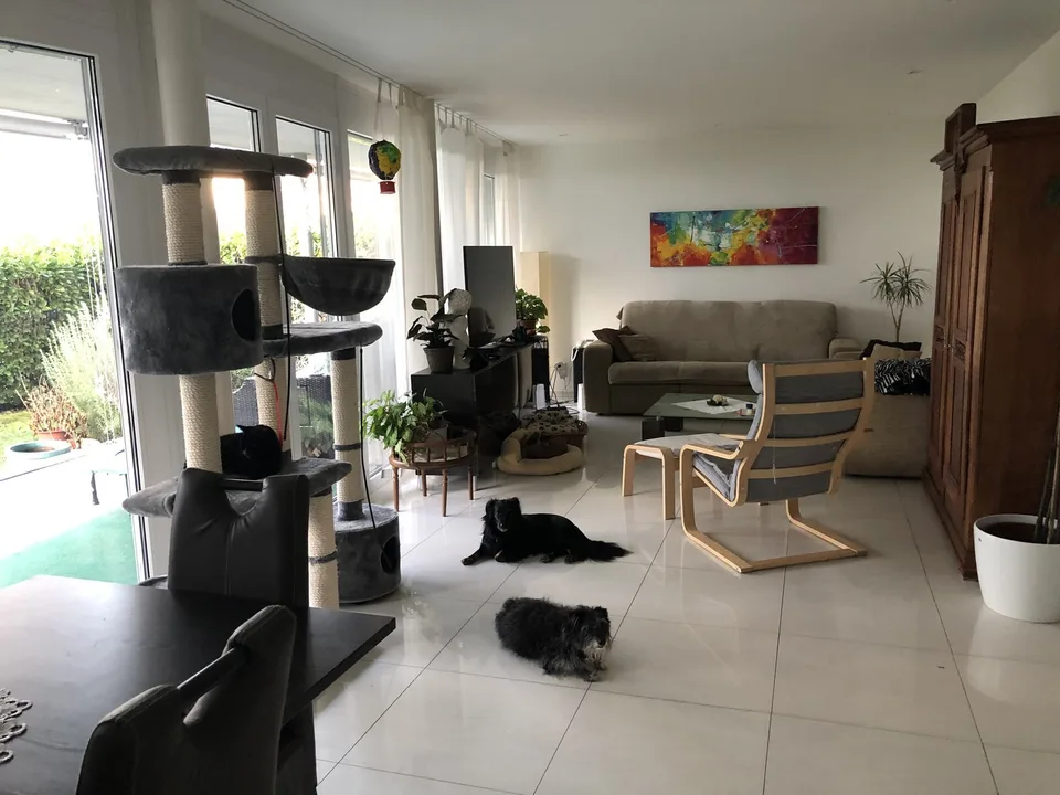 Beautiful garden room for animal lovers!