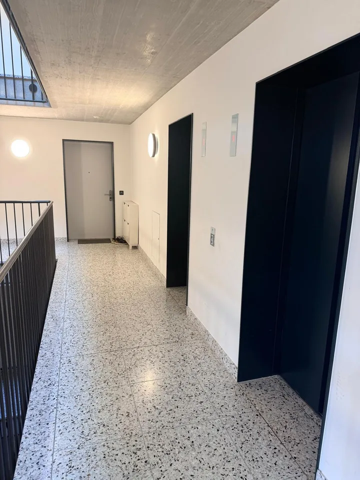 * Moderne 4.5-Zimmer-Wohnung an der Buckhauserstrasse in Zürich-Altstetten