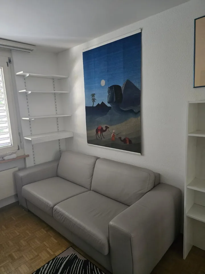 Möbliertes WG-Zimmer in grosser 3er-WG in Zürich-Höngg - ruhig und im Grünen